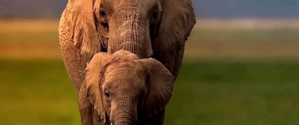 Understand Pods communication